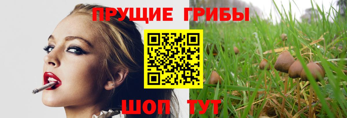 Псилоцибиновые грибы ЛСД  Вход с VPN  Галлюциногенные грибы прущие грибы  Муром 